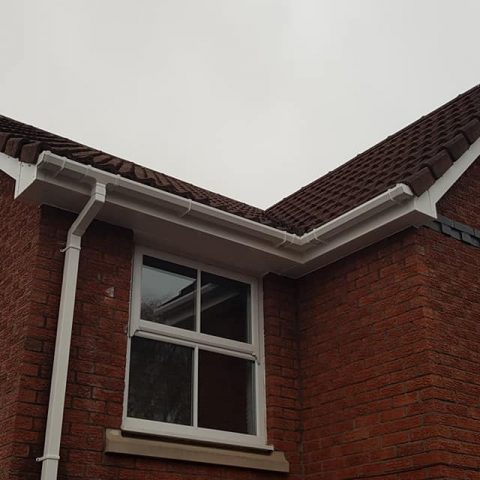 50856857 1973268756054348 7530336954299187200 o